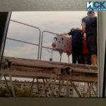 От саниране до съд