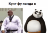 Кунг фу панда