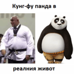 Кунг фу панда