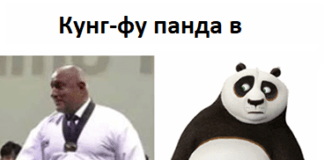 Кунг фу панда