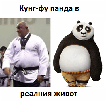 Кунг фу панда