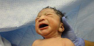 Илюстративна снимка: Пиксабей