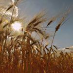 Илюстративна снимка: Пиксабей