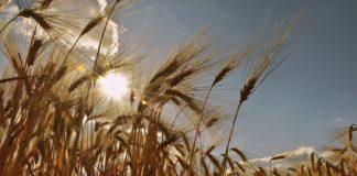 Илюстративна снимка: Пиксабей