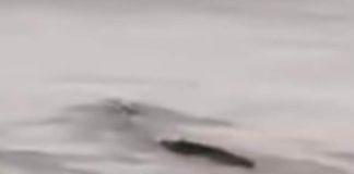 Снимка: скрийншот Youtube