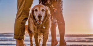 Илюстративна снимка: Пиксабей