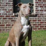 Илюстративна снимка: Пиксабей