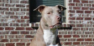 Илюстративна снимка: Пиксабей