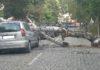 Дърво падна върху автомобил