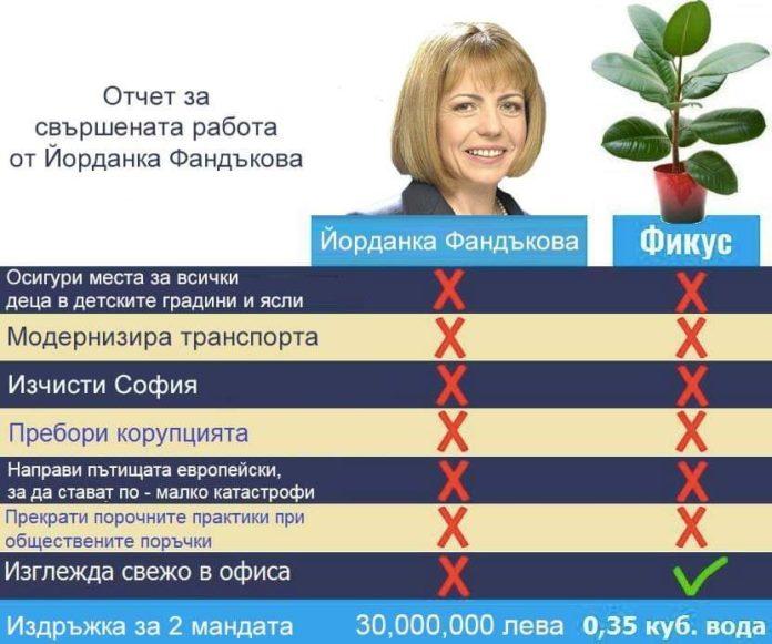 Йорданка Фандъкова и фикус