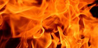 Илюстративна снимка: Пиксабей