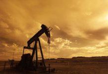 Снимка. Skeeze/Pixabay