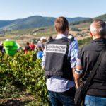 Снимка: Европол