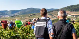 Снимка: Европол