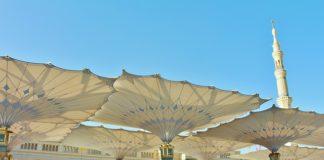 Снимка: Abdullah Shakoor/Pixabay