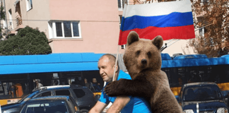 Радев и мечката