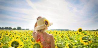 Илюстративна снимка: Пиксабей