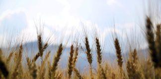 Илюстративна снимка: Пиксабей