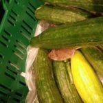 Мишката. Снимка: Забелязано в Пловдив, Todor Kamberov‎, Фейсбук