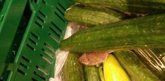 Мишката. Снимка: Забелязано в Пловдив, Todor Kamberov‎, Фейсбук