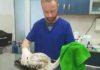 Доктор Янев. Снимка: Фейсбук, Спасителен център за диви животни / Wildlife Rescue Breeding Centre