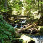 Каньонът на водопадите край Смолян