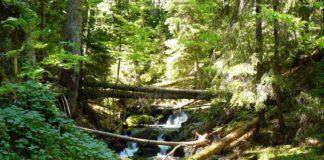 Каньонът на водопадите край Смолян