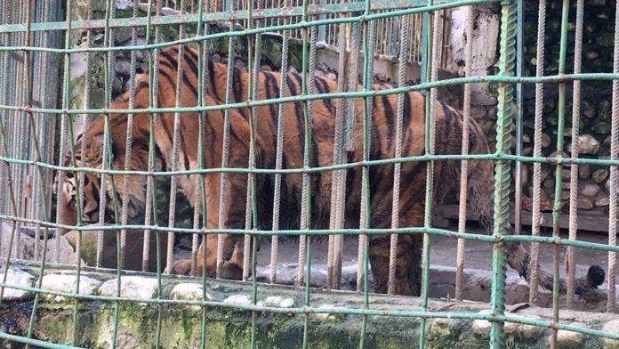Зоопаркът. Снимка: Фейсбук, Да спасим животните в зоопарк Кюстендил