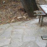 Снимка: ЗА по-добър живот в Асеновград, Христина Танчева, Facebook