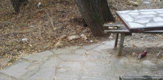 Снимка: ЗА по-добър живот в Асеновград, Христина Танчева, Facebook