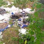 Боклуците. Снимка: Фейсбук: Dimitar Jelev‎