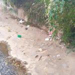 71648454 2451000985225429 5142626572729057280 n 1