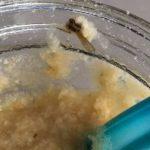 Буболечка в детска храна. Снимка: Фейсбук, Sisi Mihaylova‎, Хасково Нередност