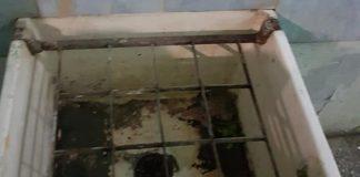 Санитарен възел в училището. Снимка: Фейсбук, Stanislava Cvetkova