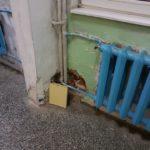 Санитарен възел в училището. Снимка: Фейсбук, Stanislava Cvetkova