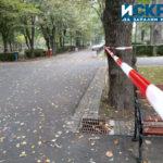 Есенен благотворителен маратон