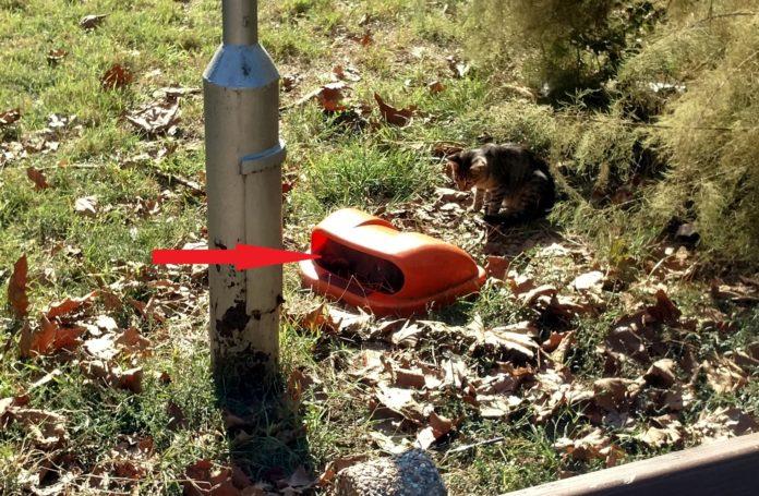 Скривалище