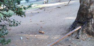 Счупена пейка в Морската градина, Варна. Снимка: Нели Станимирова/Фейсбук