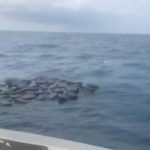 Снимка: скрийншот "Ютюб"