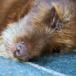 Илюстративна снимка: Пиксабей