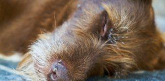 Илюстративна снимка: Пиксабей