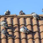 Илюстративна снимка: Пиксабей