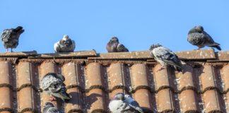 Илюстративна снимка: Пиксабей