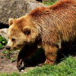 Илюстративна снимка: Пиксабей