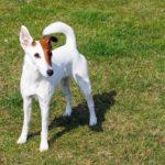 Илюстративна снимка: Пиксабей