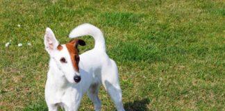 Илюстративна снимка: Пиксабей