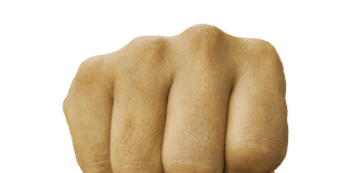 Илюстративна снимка: Пиксабей