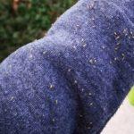 Листни въшки