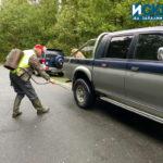 Дезинфекция на колите