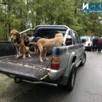 Старт на ловния сезон